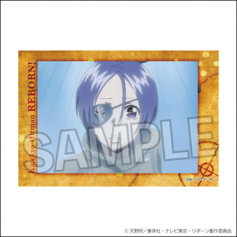 『家庭教師ヒットマンREBORN!』スタパネ 21【202507再販】